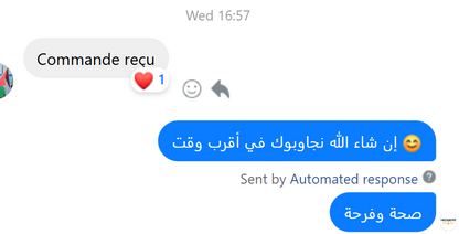 Manteau de Haute Qualité ✅ En Promo 🎁